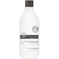 Шампунь для глубокой очистки волос и кожи головы Constant Delight Шампунь для глубокой очистки волос и кожи головы Constant Delight